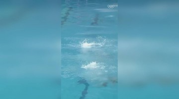 ओलंपिक वीडियो देखिये