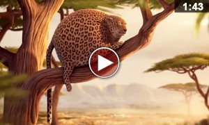 क्या होता अगर जानवर फ़ास्ट फूड खाते,जानने के लिए देखिए यह वीडियो