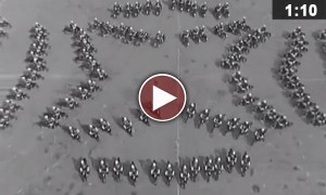 मोटर बाइक का धमाल और कमाल