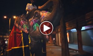 रिक्शा रन  - भारत के विज़ुअल वाइब्स 