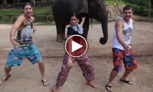 दलेर की धुन पर पूरा लंदन ठुमकदा , पंजाबी वो पढ़दा , गिट - पिट वो करदा यार  