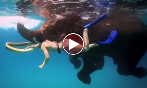 एक ऐसी जगह जिसे आपने नहीं देखा तो कुछ नहीं देखा 