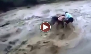 दिल दहला देने वाला पानी में बहते हुए यह भयानक वायरल वीडियो