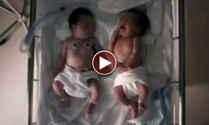 वाह ! इसे कहते हैं माँ के प्यार की ताकत  