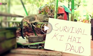 हम हो गए बेशरम , लाइफ हो गई झंड 