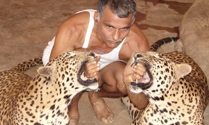 प्यार से खूंखार जानवर भी दोस्त बन सकता है 