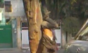 देखिये कैसे इस शराबी ने सड़क पर किया मज़ेदार योग, नहीं रह पाएंगे हसें बिना   