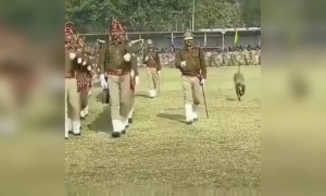 लगता है बंदरों को अब परेड से भी प्रॉब्लम होने लगा है