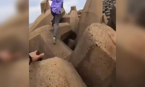 आपके दिल की धड़कनें तेज़ कर देगा यह वीडियो