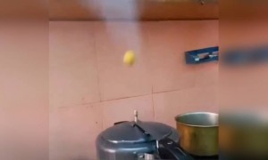 निम्बू को कभी हवा में उड़ते हुए देखा है? यहाँ देखिये!