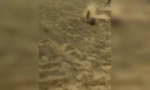 स्लो मोशन में अच्छी खासी चोट भी लगी होगी