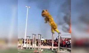 ड्रैगन के पोशाक में करतबें दिखाते दो लड़के