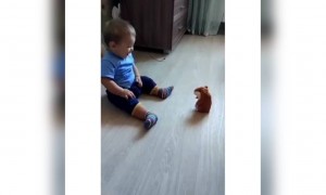 देखिये कैसे खिलौने को देख डर गया ये बच्चा