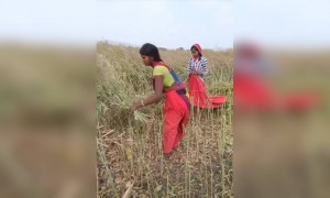 नारी शक्ति को सलाम विमेंस डे की हार्दिक शुभकामनाएं