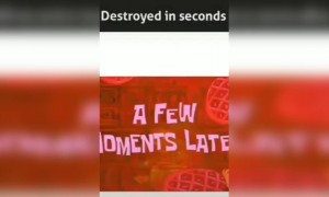 शकल देखने लायक था आदमी का जब वो कुत्ता आया