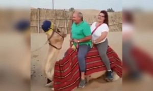 थोड़ा वजन कम कर लेते पहले