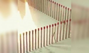 यह वीडियो देखिये और समझिये खुद को स्व-संगरोध करना क्यों ज़रूरी है