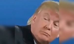 ये देख कर आपकी हसीं निकल जाएगी पक्का