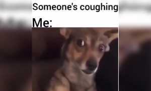 जब भी आजकल कोई आस पास खांसता है तो यही रिएक्शन होता है लोगों का