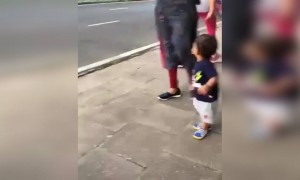 ये देख आप हँसते रह जाओगे