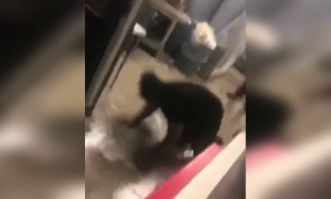 गुस्से में इसलिए कभी कोई काम नही करना चाहिए