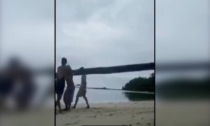 पेड़ ने ही धोखा दे दिया इन बच्चों को