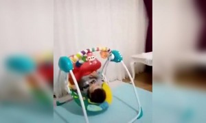 क्या आपने इस बच्चे से ज़ादा कूल किसी को देखा है?