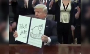 खो न जाए ये तारे ज़मीन पर