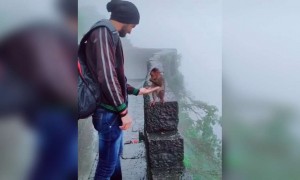 ये दिल छु लेने वाला वीडियो देखिये