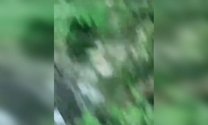 इसे कहते कर्मा जो जैसा करेगा, वैसे पायेगा