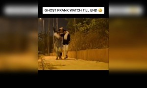 ये तो डर के मारे खम्बे पर ही चढ़ गया