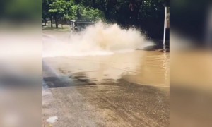 ये वीडियो देख आपको भी जीप चलाने का दिल करेगा