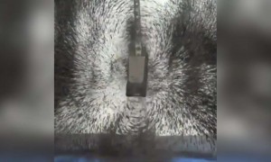 देखे ये अदभुत वीडियो के कैसे एक मैगनेट काम करता है