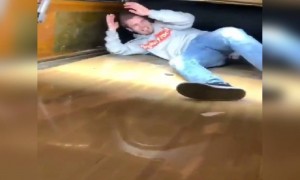 ये तो खुद ही बौल बनकर कूद गया अंदर