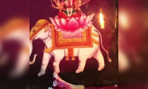 माँ दुर्गा आप सबको कोरोना से लड़ने की शक्ति दे