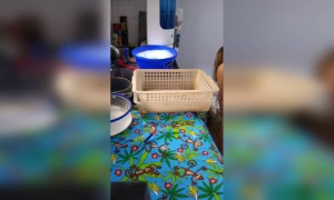 अगर आप कुछ भी सामान ला रहे है तो उसे ऐसे धोये