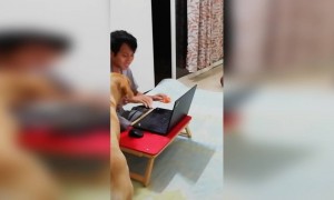 लॉक डाउन के वजह से कम से कम अब आप अपने पेट्स के साथ वक़्त बिता पा रहे है