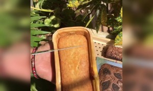 क्या आपने कभी ऐसा केक खुद से घर में बनाया है?