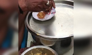 दही पापड़ी जो आपका मन ललचा दे