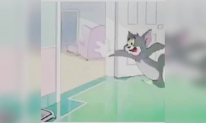 सबका ऐसा ही हाल है अभी दुनियाभर में