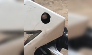 स्कूटी के अंदर था ये लम्बा सा सांप