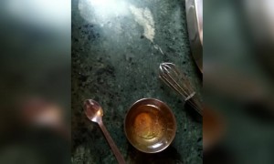 देखे और सीखें कैसे बनाते है अंडा पराठा