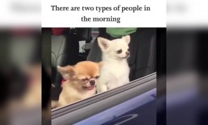 दो तरह लोग होते जो सुबह उठते है