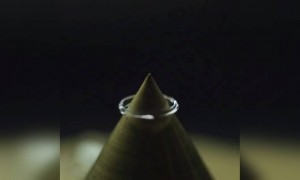 आपने कभी इतने करीब से ये नहीं देखा होगा