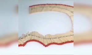 माचिस के तीलियों से बनाया खोपड़ी