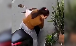 इतना गिरने पड़ने के बाद भी उसने गमला चुरा ही लिया