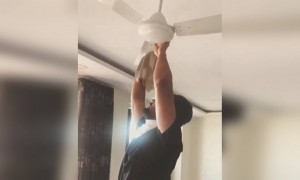 विक्की कौशल पंखे की सफाई करते हुए