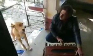 ये कुत्ता भी गाना गाता है