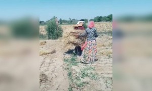 इसे कहते है देसी जुगाड़