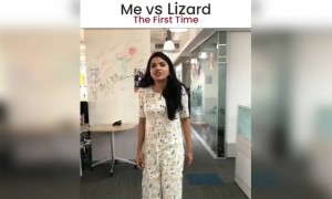 छिपकली से क्या आपको भी डर लगता है?